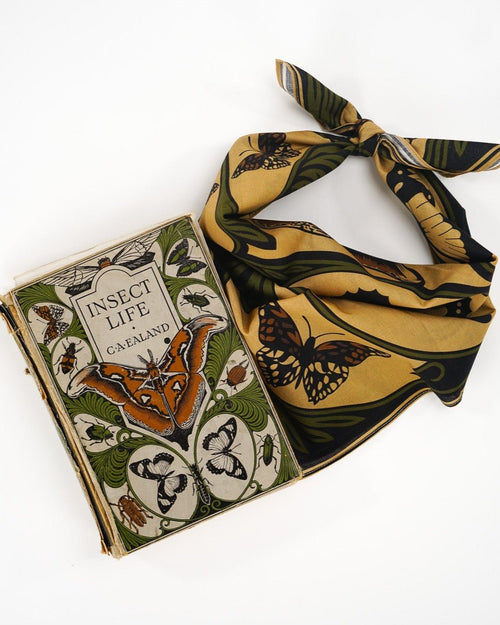 Flutter - Heading Bandanas