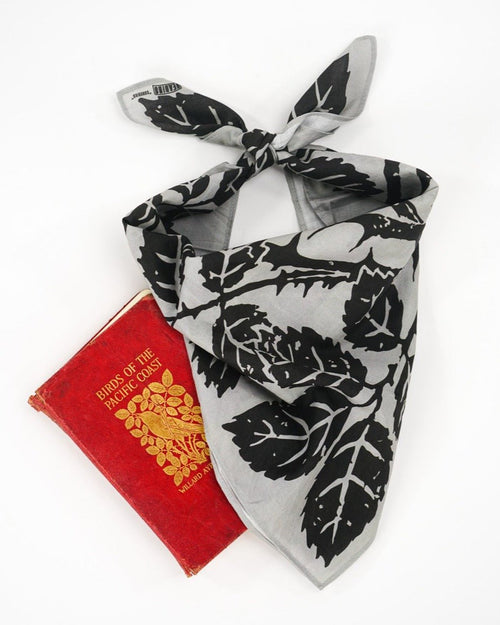 Songbird - Heading Bandanas