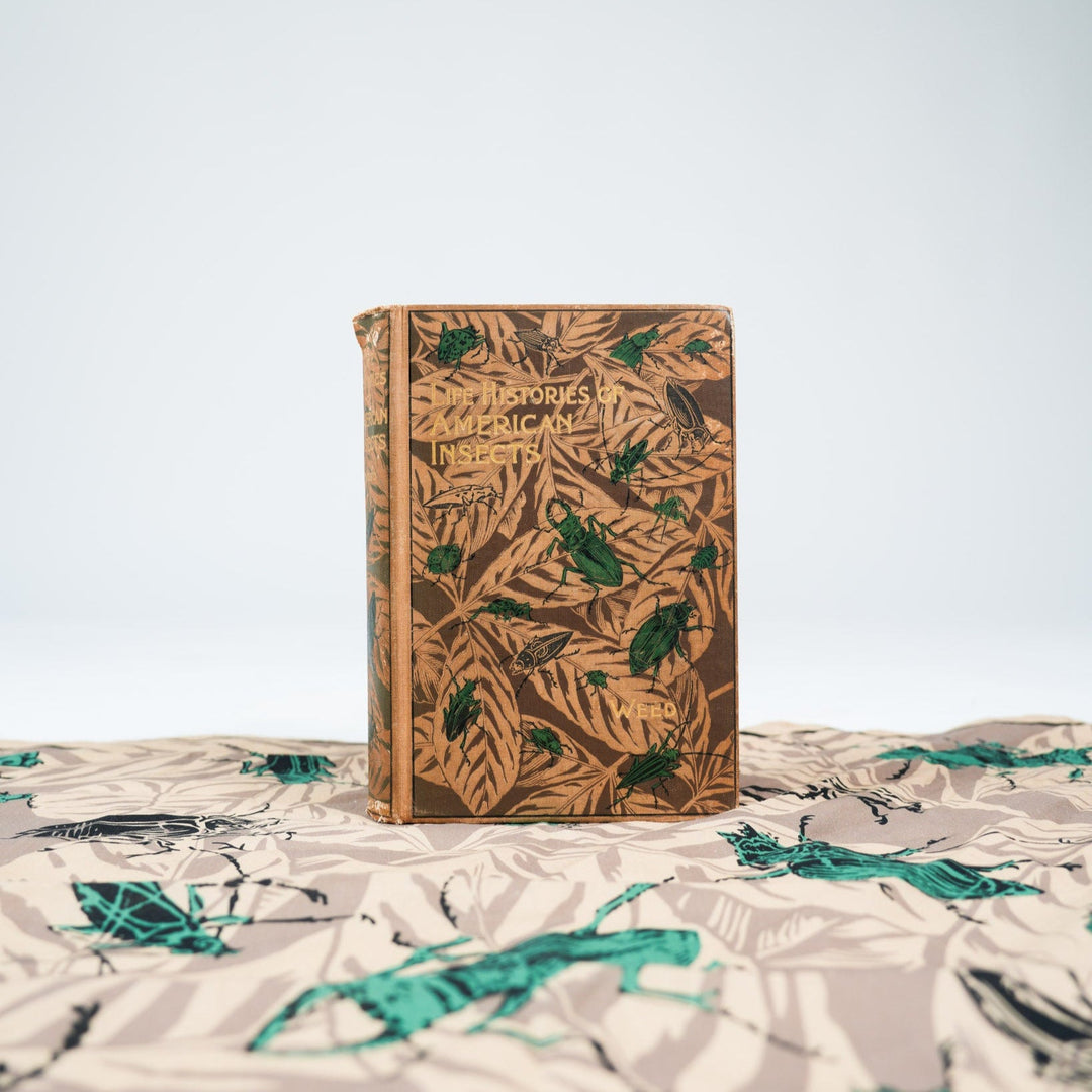 Bugs - Heading Prints