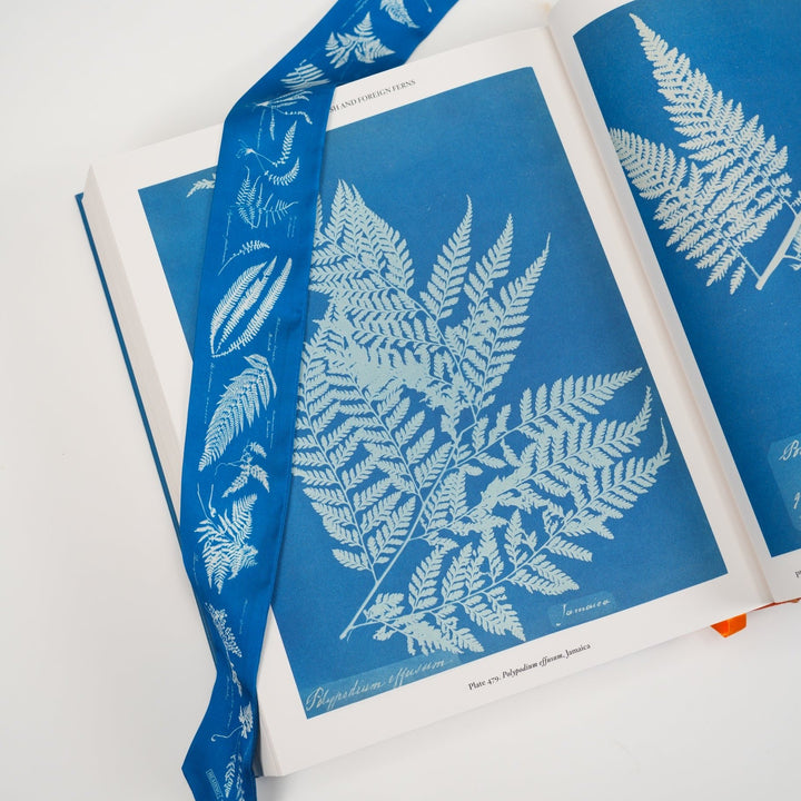 Cyantotypes Skinny Scarf - Heading Prints