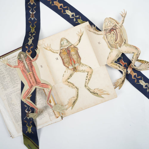 Dissection Skinny Scarf - Heading Prints