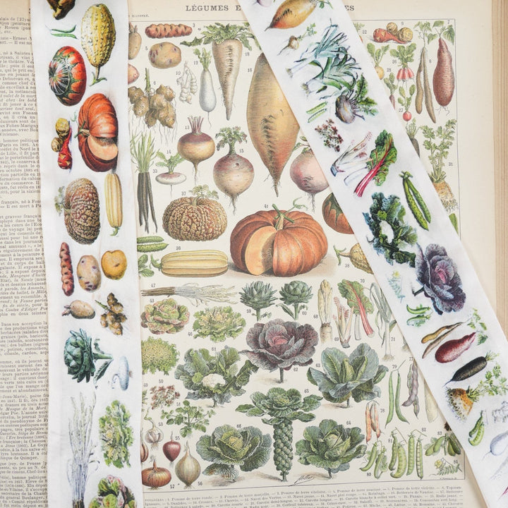 Eat your Veggies Skinny Scarf - Heading Prints