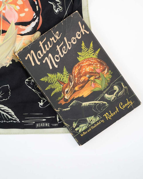 Fawn - Heading Prints