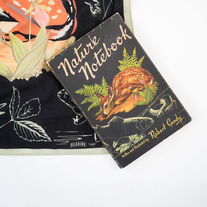 Fawn - Heading Prints