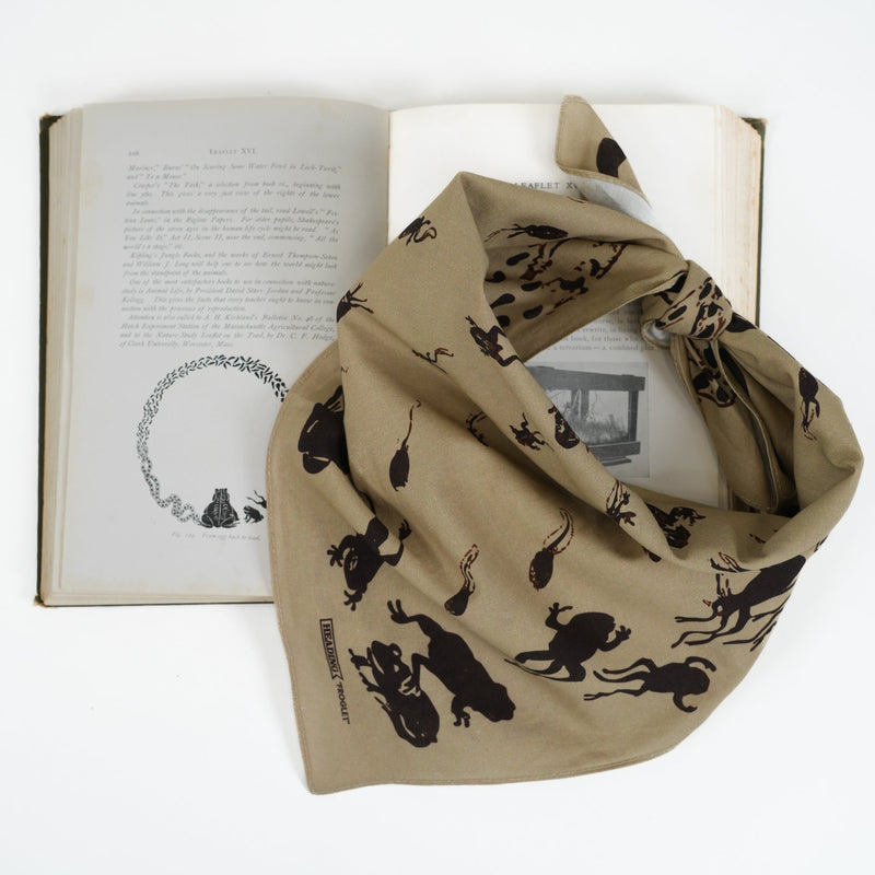 Froglet Bandana - Heading Prints