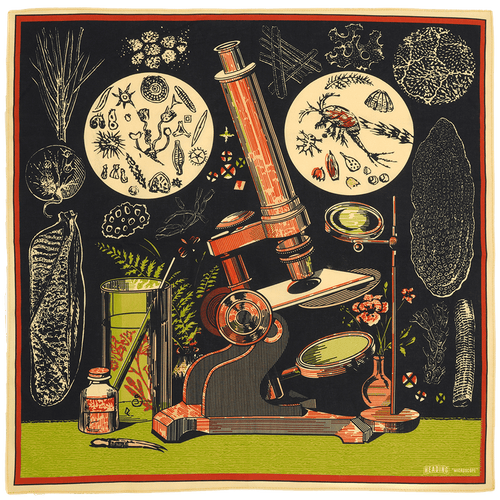 Microscope - Heading Prints