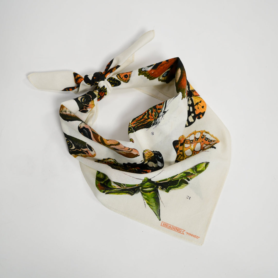 Pinned Bandana