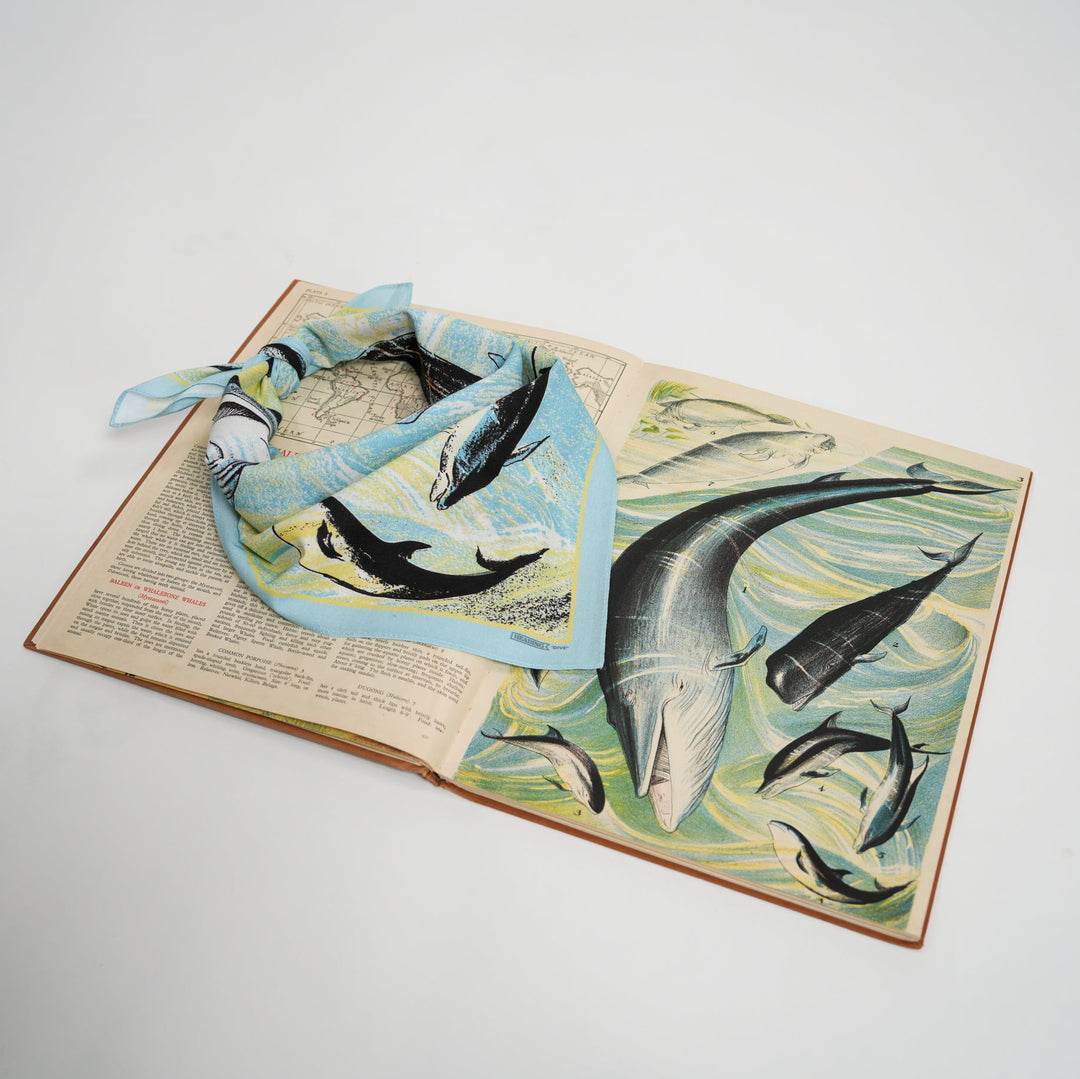 Dive Bandana