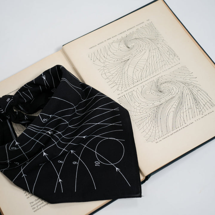 Hydrography Bandana