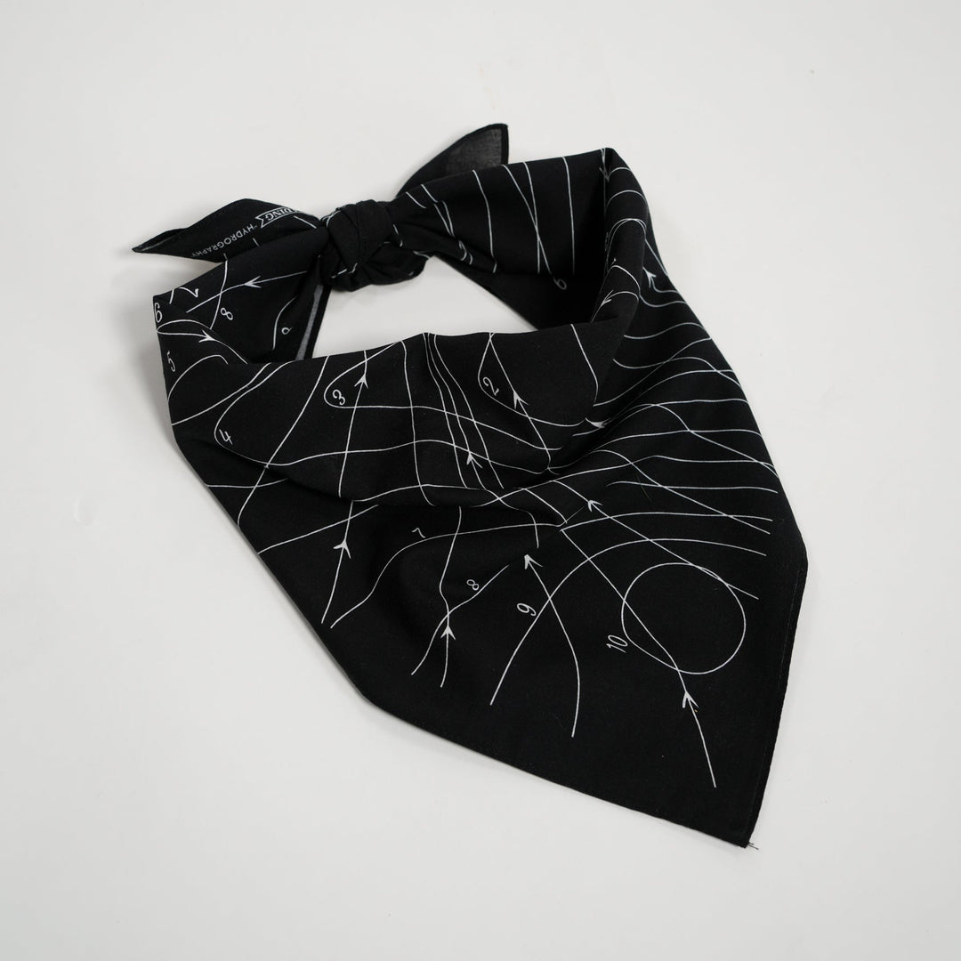 Hydrography Bandana