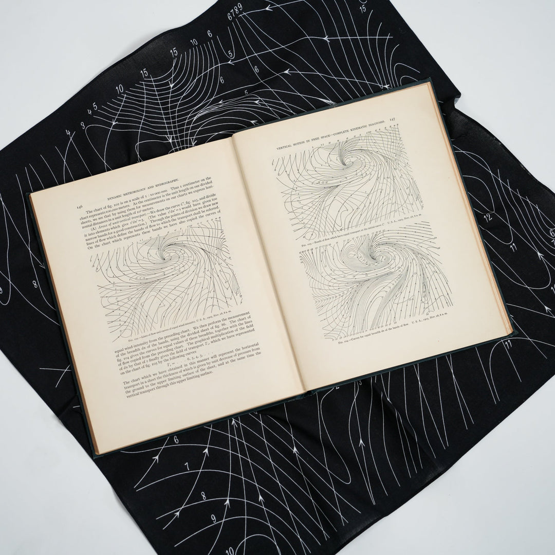Hydrography Bandana