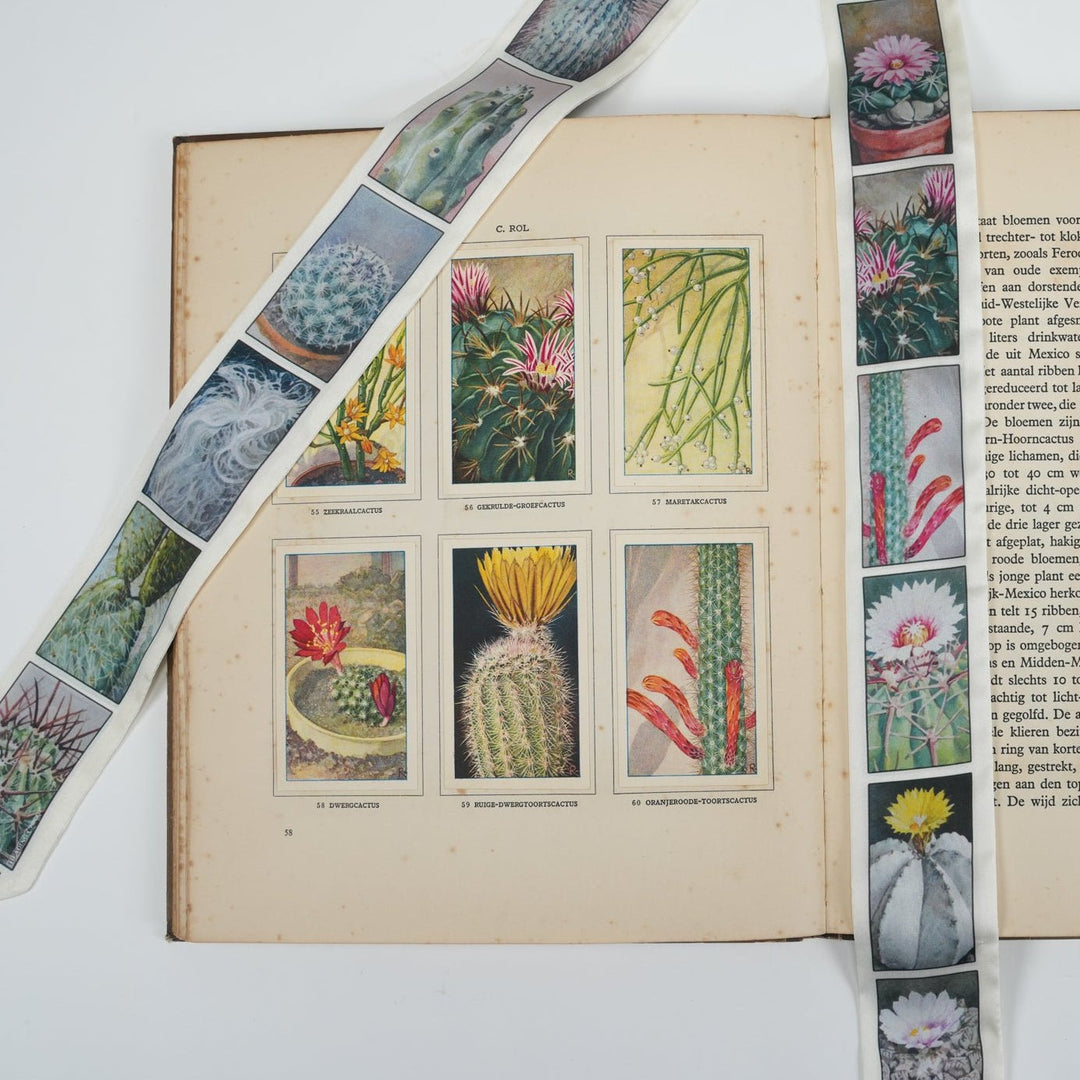 Prickly Skinny Scarf - Heading Prints