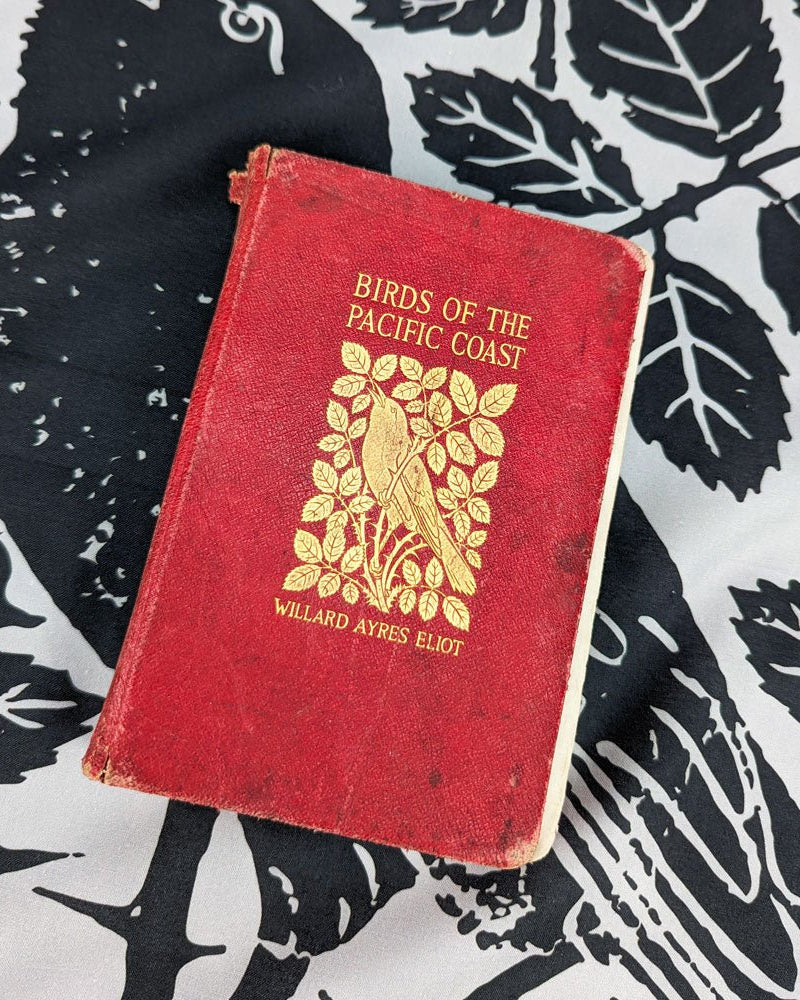 Songbird - Heading Bandanas