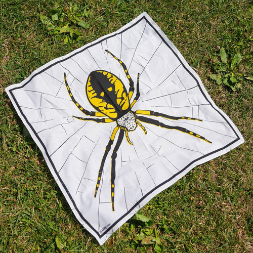 Spider - Heading Prints
