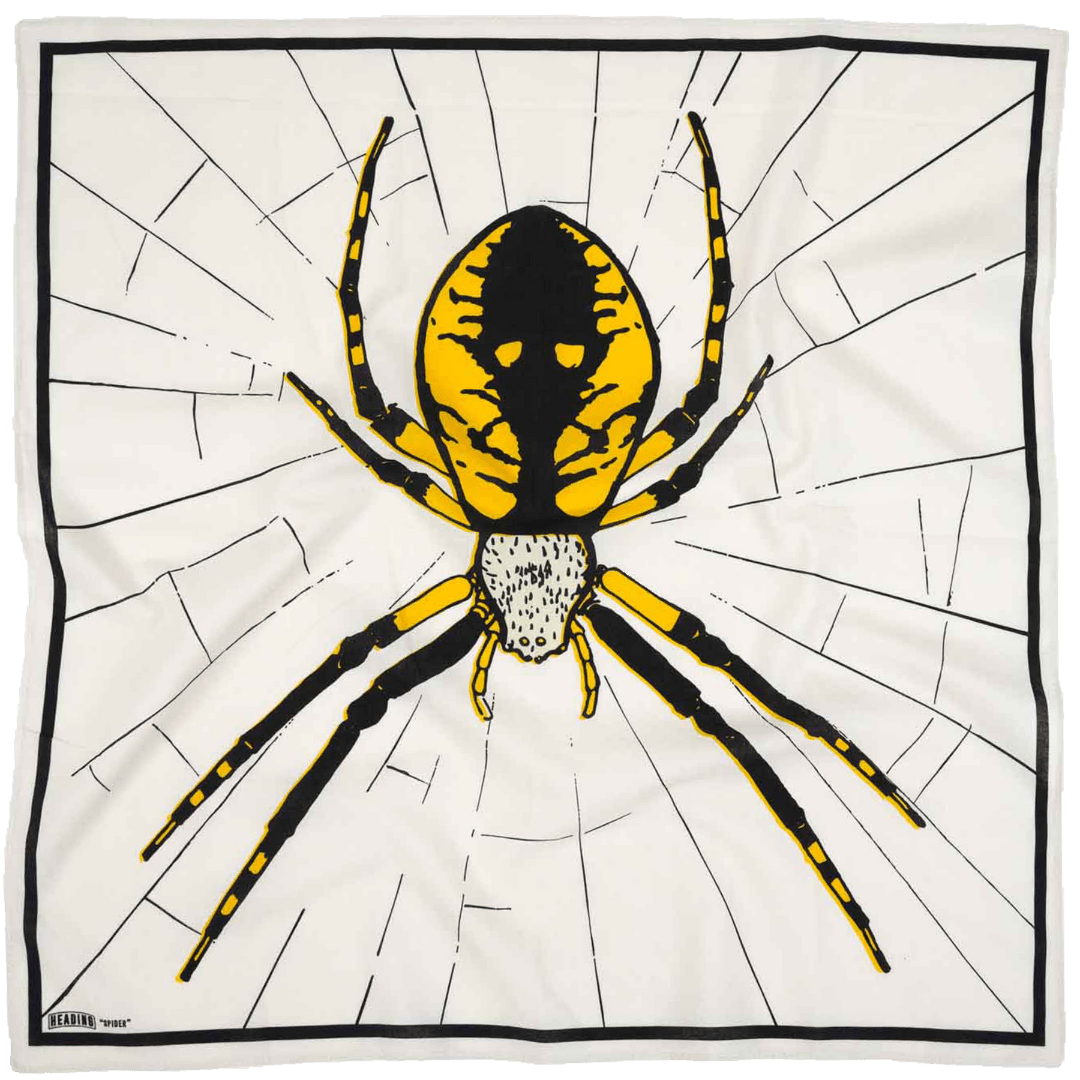 Spider - Heading Prints
