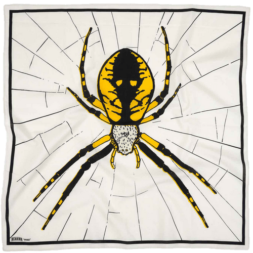 Spider - Heading Prints
