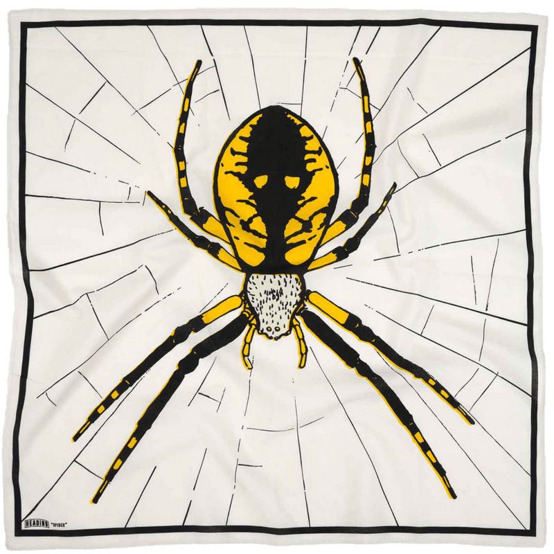 Spider - Heading Prints