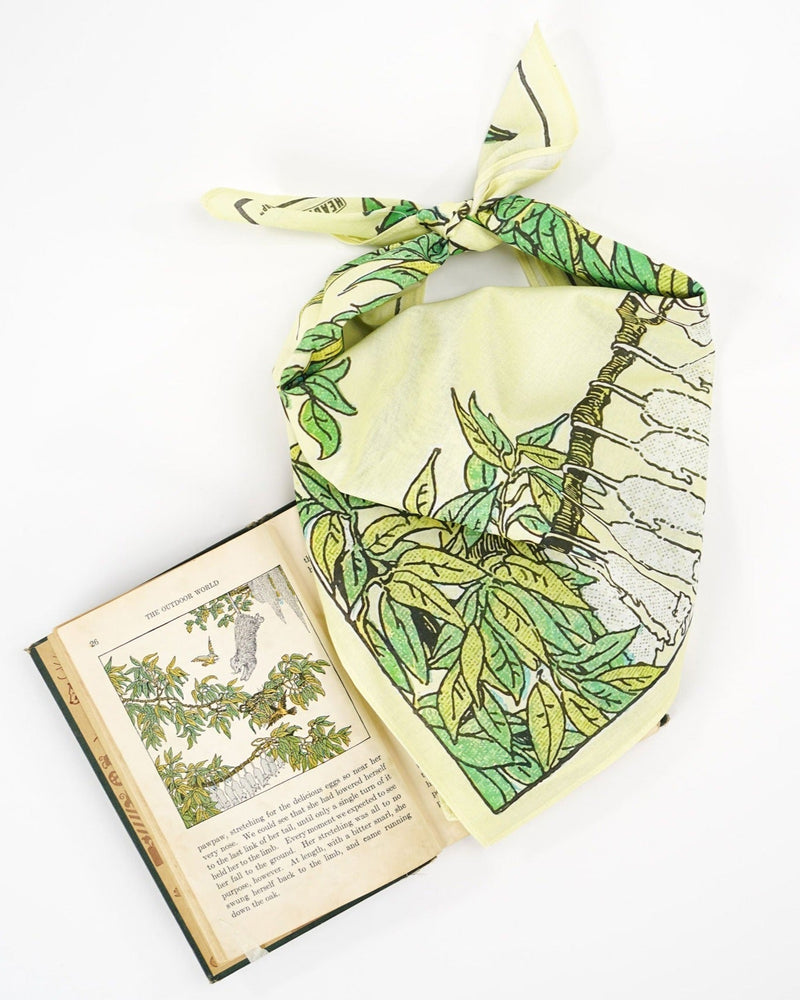 Treetop - Heading Bandanas